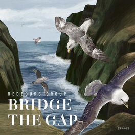 Album cover of Bridge the Gap