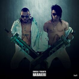 Album cover of Harakiri, Vol. 1 & 2