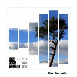 Album cover of From the World