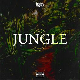 Album cover of Jungle #3