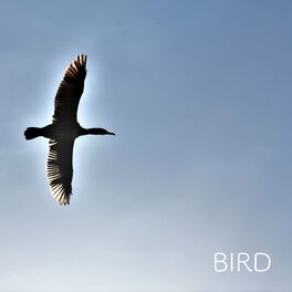 Album cover of BIRD