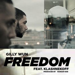 Album cover of Freedom (feat. Klashnekoff)