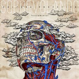 Album cover of Sobrevolando Instrumental