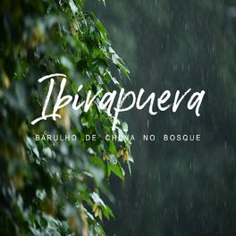 Album cover of Ibirapuera - Barulho De Chuva No Bosque