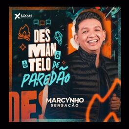 Album cover of Desmantelo de Paredão