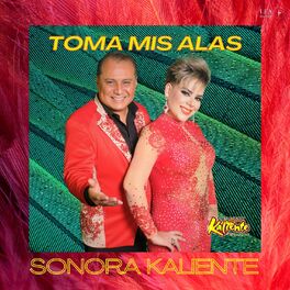 Album cover of Toma Mis Alas