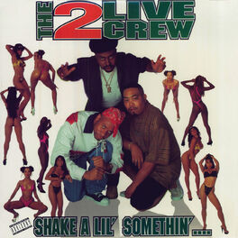 Album cover of Shake A Lil' Somethin'