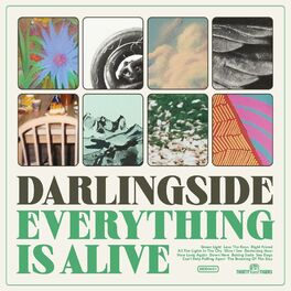 Album cover of Everything Is Alive