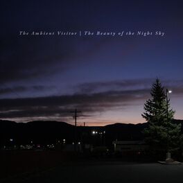 Album cover of The Beauty of the Night Sky