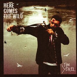 Album cover of Here Comes the Wild