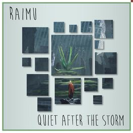 Album cover of Quiet After the Storm
