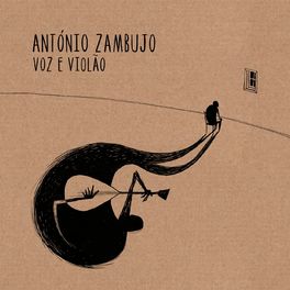Album cover of Voz E Violão