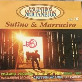 Album cover of Encontros Sertanejos Vol. 10