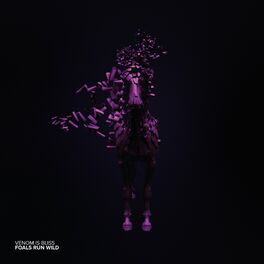 Album cover of Foals Run Wild