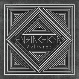 Album cover of Vultures (New Version)