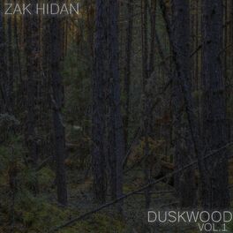 Album cover of Duskwood Vol. 1
