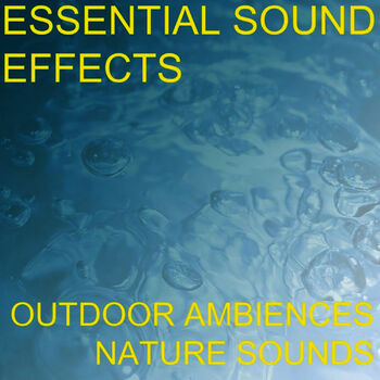 Essential Sound Effects Coffee Shop Restaurant Cafe Ambience Crowd People Chatter Background Sound Effects Sound Effect Sounds Efx Sfx Fx Natural Ambience Listen On Deezer