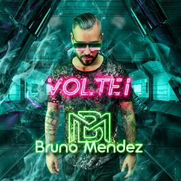 Album cover of Voltei