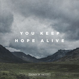 Album cover of You Keep Hope Alive (Live)