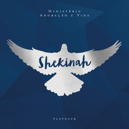Album cover of Shekinah (Playback Com Coro)