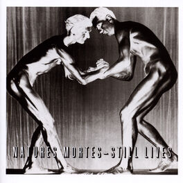 Album cover of Natures Mortes - Still Lives
