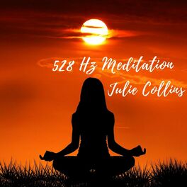 Album cover of 528 Hz Meditation