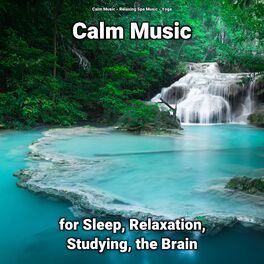 Album cover of Calm Music for Sleep, Relaxation, Studying, the Brain