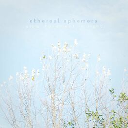 Album cover of Slow Movement in Light (Ethereal Ephemera)