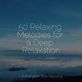 Album cover of 50 Relaxing Melodies for a Deep Relaxation