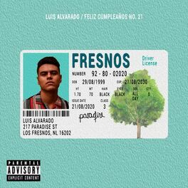 Album cover of Feliz Cumpleaños No. 21