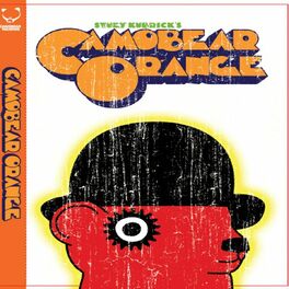 Album cover of Camobear Orange