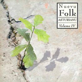 Album cover of Nuevu Folk Asturianu Vol. 4