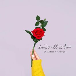 Album cover of Don't Call It Love