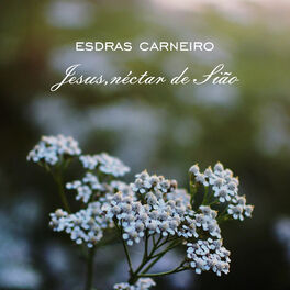 Album cover of Jesus, Néctar de Sião