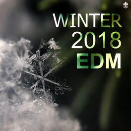 Album cover of Winter 2018 EDM