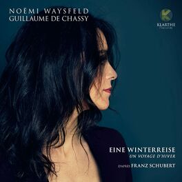 Album cover of Eine winterreise