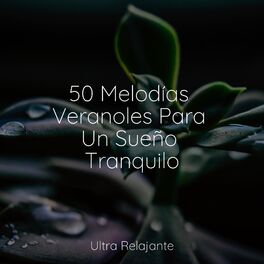 Album cover of 50 Melodías Veranoles Para Un Sueño Tranquilo