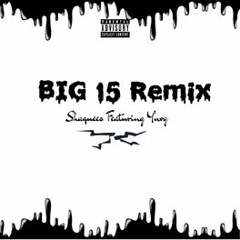 Album picture of BIG 15 (Remix)