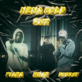 Album cover of Nena Gold (feat. Knak & Fiaka)