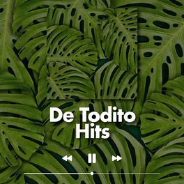 Album cover of De todito Hits