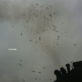 Album cover of Cinza