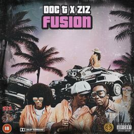 Album cover of Fusion (feat. Ziz)