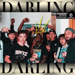 Mr Darling Darling Family Lyrics And Songs Deezer