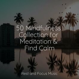 Album cover of 50 Mindfulness Collection for Meditation & Find Calm