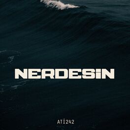 Album cover of NERDESİN