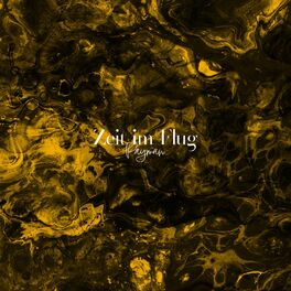 Album cover of ZEIT IM FLUG