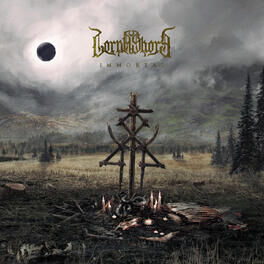 Album cover of Immortal