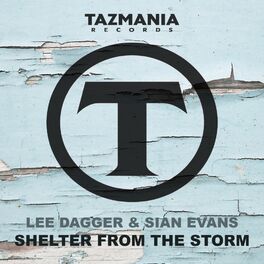 Album cover of Shelter From The Storm