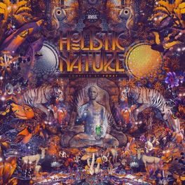 Album cover of Holistic Nature (Compiled by Fohat)