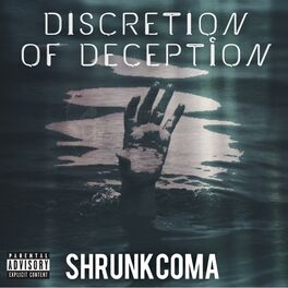Album cover of Discretion of Deception